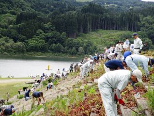 作業の様子