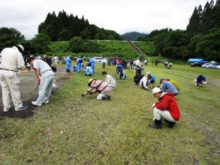 作業の様子