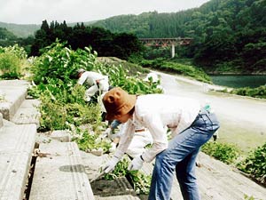 活動状況