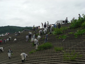 清掃活動の状況