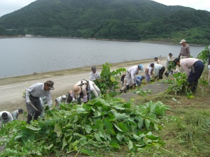 清掃活動の状況