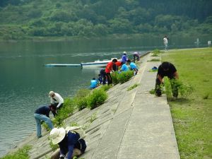 清掃活動の状況