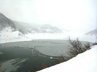 平成28年2月29日（月）寒河江ダム湖 湖面【ダム堤体 網場（あば）付近】