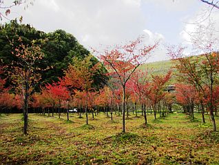 ①スポーツ広場から撮影（10/12撮影）