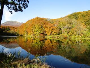 西川町志津の五色沼（H30．10．22撮影）