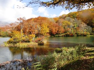 西川町志津の五色沼（H30．10．25撮影）