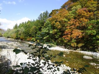 寒河江川上流・大井沢（H30．10．25撮影）