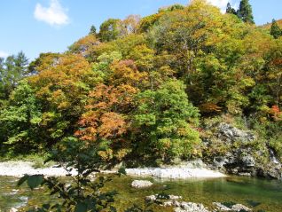 寒河江川上流・大井沢（H30．10．25撮影）