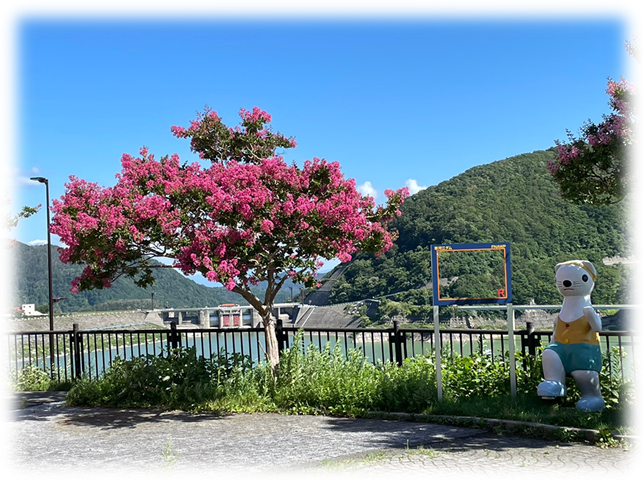 さるすべりの花