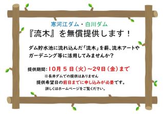 アースティックな形の流木もあります