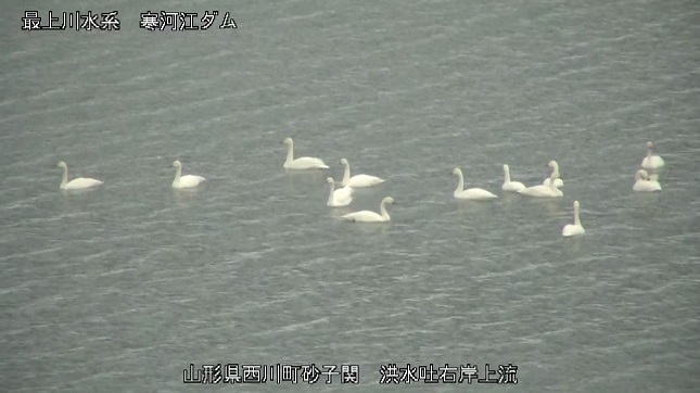 洪水吐右岸上流カメラの画像