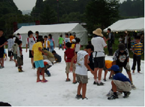 雪上宝探し