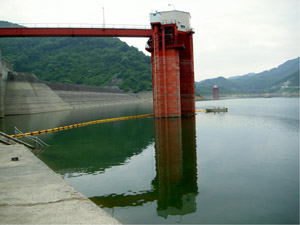 取水塔：ダムの水は田畑の灌漑（かんがい）用としても使われているため、水温の高い表面付近の水を取水しています。