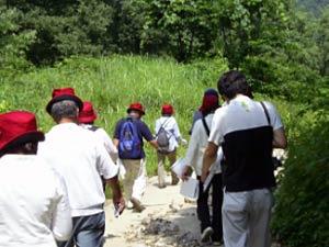 春には湖水の下であった道を散策