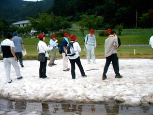 涼しい雪の上で一休み(雪はSNOWえっぐのイベントで使用した残りものです)