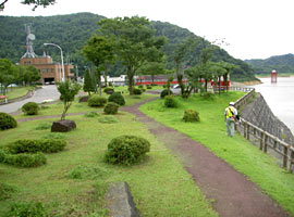 公園内除草