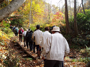 紅葉に包まれての散策