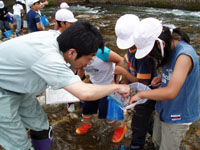 初夏の水質調査