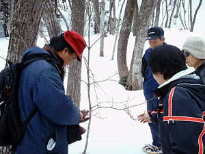 動植物の説明。実際に手で触わってみます。