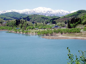 春の白川湖(湖岸公園付近)