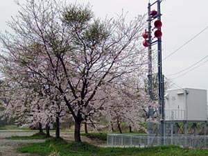 事務所長のご挨拶