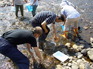 実際に川に入って調査を体験