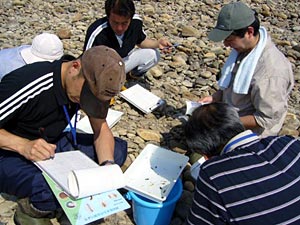 どんな水生生物が捕れたのかチェック