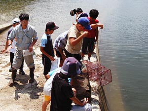 エサを入れた網で捕獲します。