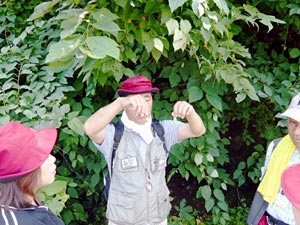 この違いが分かるかな？