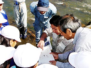 水生生物調査