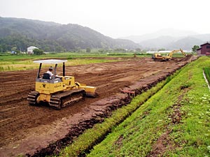 ソバ圃場