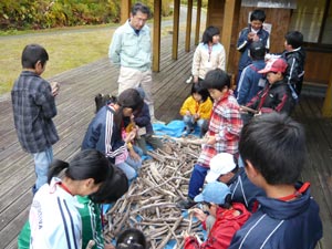 工作用流木の選定