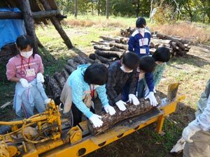 機械を用いた薪割り