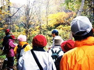 美しい紅葉の中を散策しました。