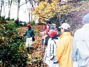 落ち葉の積もったユキツバキの路