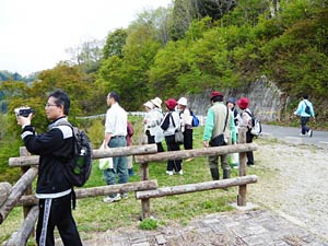 白川湖の絶景ポイント