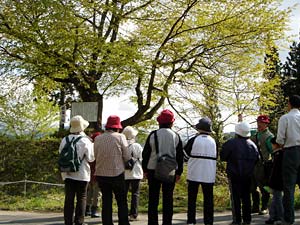 白川湖畔の名所「経塚の桜」