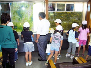 展示室の見学