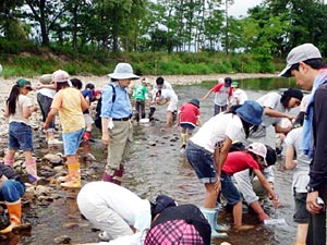 水質調査のようす