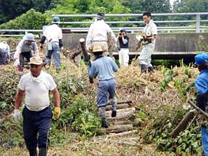 枝と幹に切り分け、一箇所に集めます