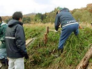 階段の基礎となる杭を打ちこみます