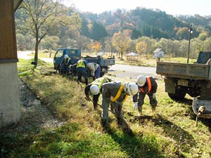 古くなった花壇の縁取り丸太を撤去