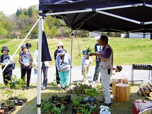 白川湖畔の植物について説明