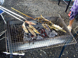 捕れた魚を焼いて皆で食べました！