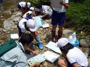 捕まえた生き物を調べます