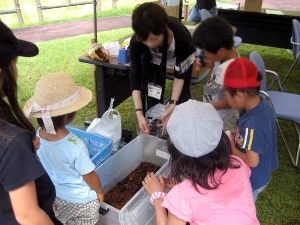 子供達に大人気！(大好評のカブトムシ無料配布)