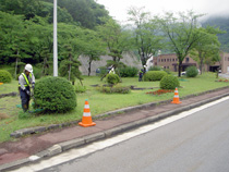 ダム公園内樹木剪定