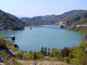 【白川湖の状況(H22.5.17撮影)】