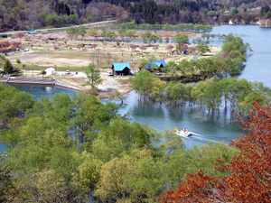 白川湖の新緑