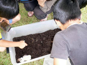 子供達に大人気！(大好評のカブトムシ無料配布)